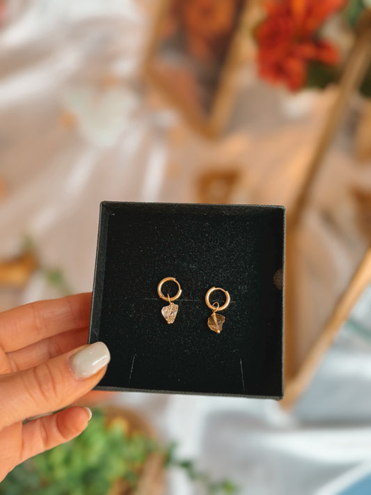 Birthstone Earrings Citrien